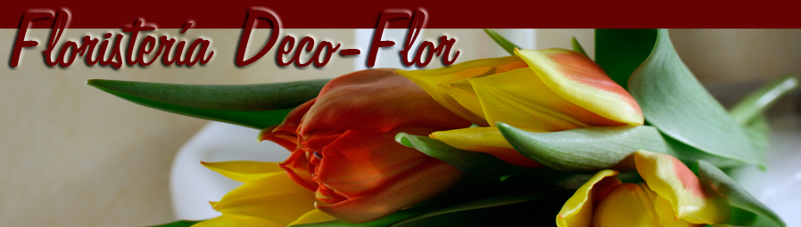 Floristería Deco Flor