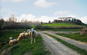 Cortijo La Gineta